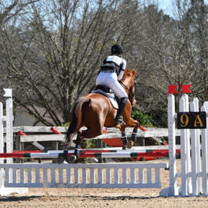 Meet your Posher, Elliot